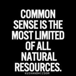 Meet your Posher, Robby